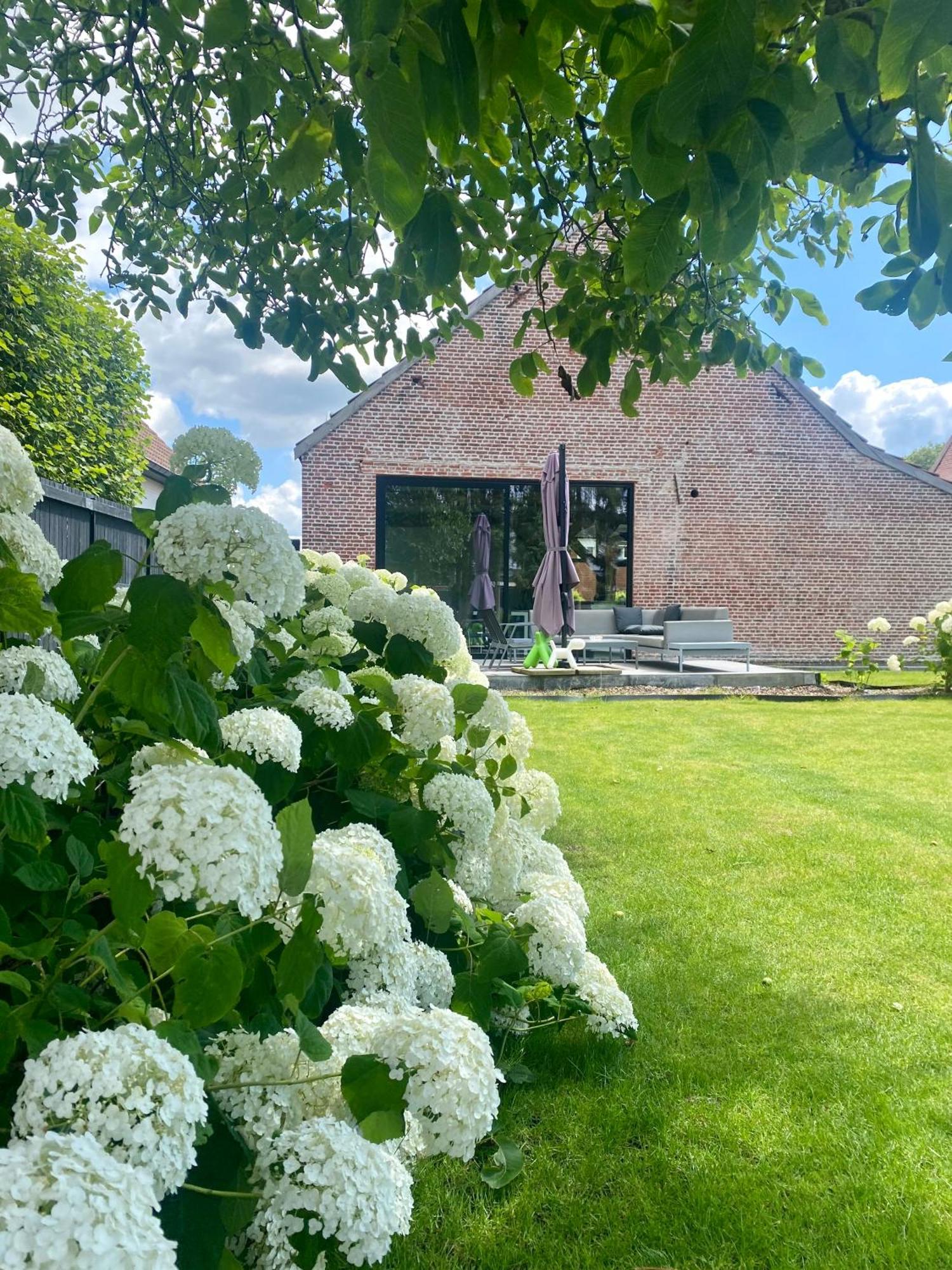 Hoeve De Kleinheide Dessel Bagian luar foto