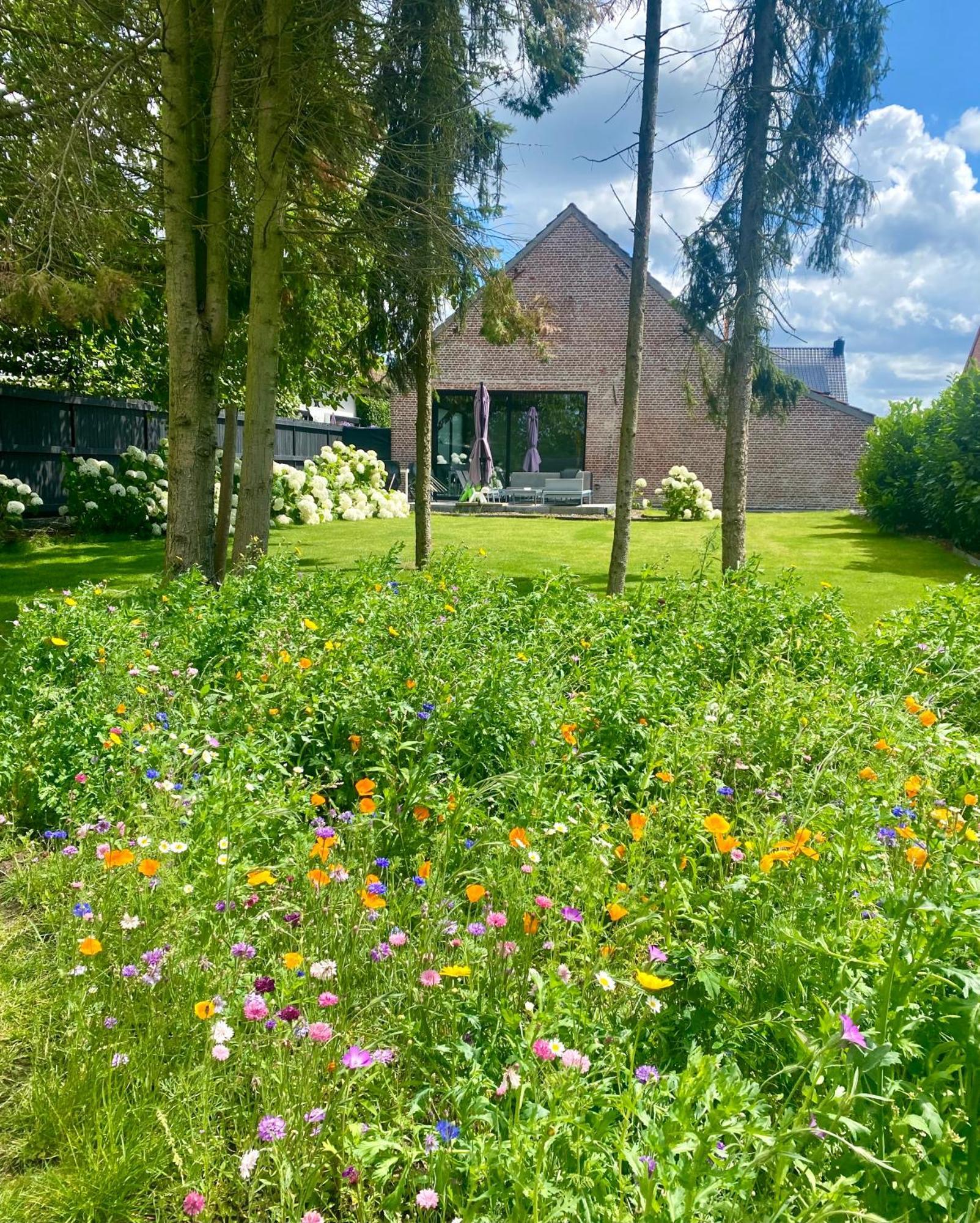 Hoeve De Kleinheide Dessel Bagian luar foto