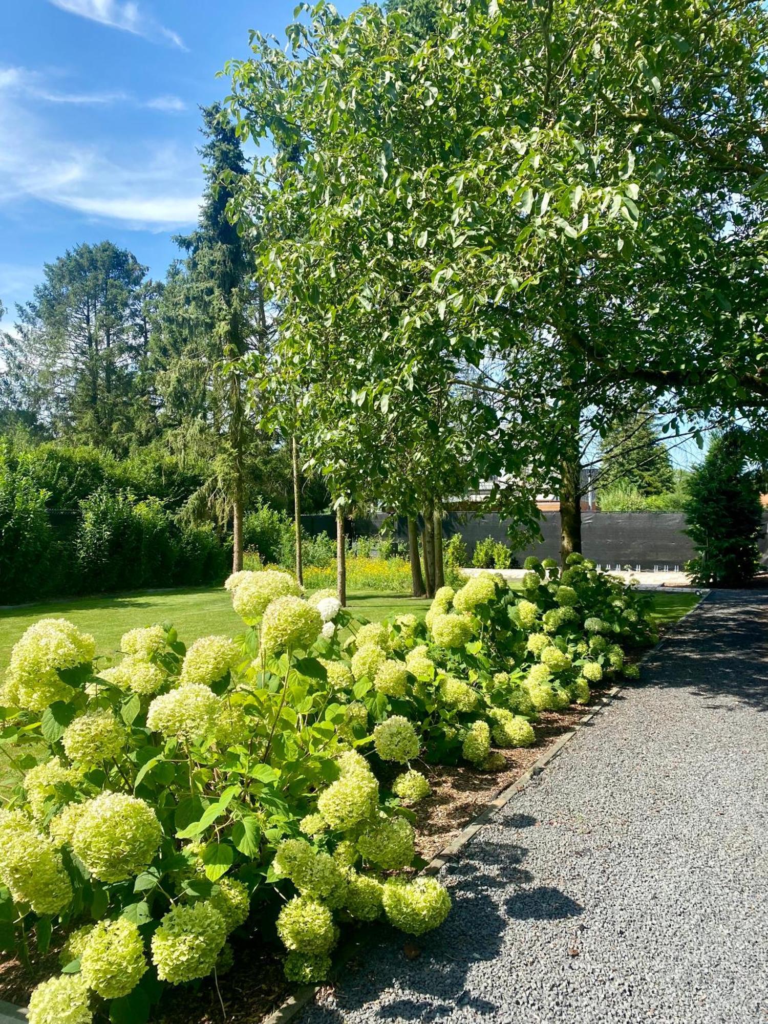 Hoeve De Kleinheide Dessel Bagian luar foto